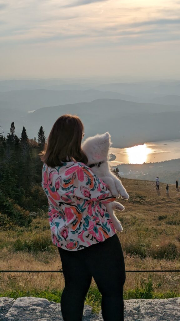 Belle education canine