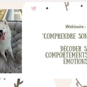 Comprendre son chien