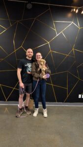 Cours de groupe chiots Brossard