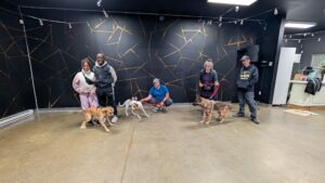 Cours maternelle La Prairie avec éducateur canin certifiée