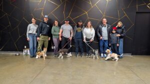 Cours pour chiots avec éducateur canin qualifié à La Prairie