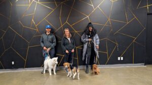 Atelier marche en laisse & Rappel Brossard