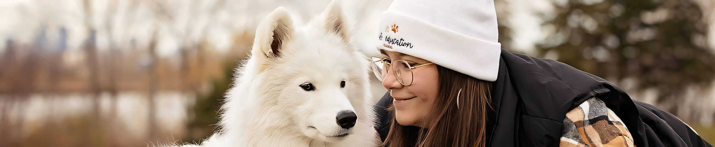 Bannière Belle Education Canine